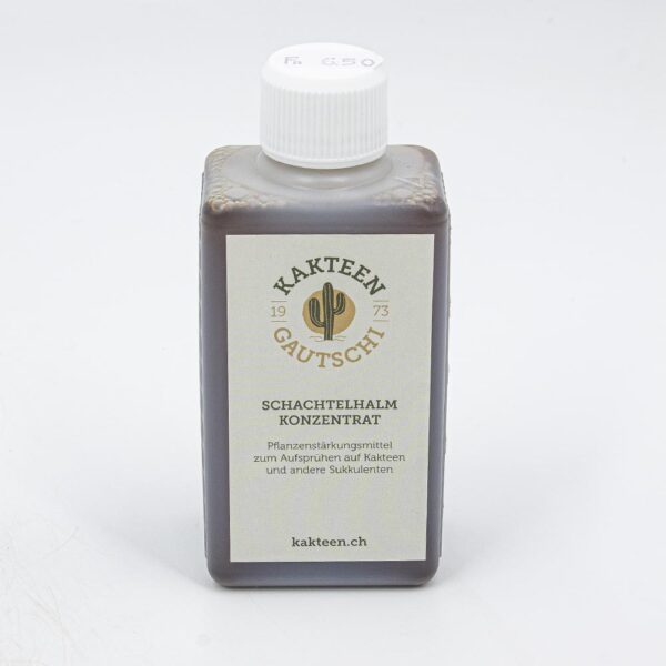 Schachtelhalm Extrakt